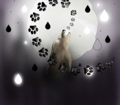 drip stone drop paw - ibisPaint