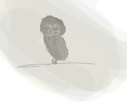 🦉 - ibisPaint