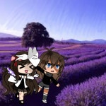 Field of Lavenders for a TikToker - ibisPaint