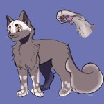 Js a lil cat doodle - ibisPaint