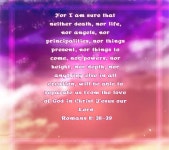 Romans 8 35-36 - ibisPaint