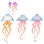 IBM2802 Jellyfish b - ibisPaint