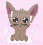 Fluffy kitty cat 🙂🙃 - ibisPaint