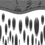 波打ち際 - ibisPaint