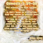Genesis 1 27-28 - ibisPaint