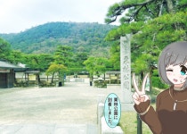 Blooming Line 34-03 ① - ibisPaint