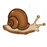Little wiggly snail - ibisPaint