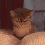 Untitled1427 - ibisPaint