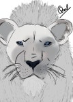 Kiros, Mufasa the lion king - ibisPaint Kiros,  Mufasa the lion king - ibisPaint