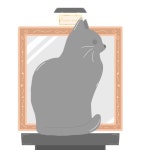Gallery cat - ibisPaint