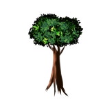 Tree - ibisPaint