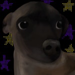 I drew another dog even tho no one asked - ibisPaint