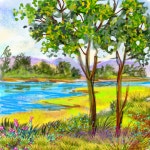 Untitled1634 - ibisPaint