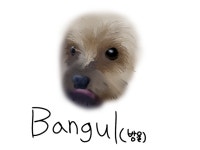 내 강아지(My dog) - ibisPaint