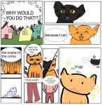 the naughty cat - ibisPaint