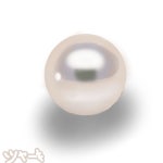 진주 - ibisPaint