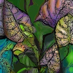 Untitled1766 - ibisPaint