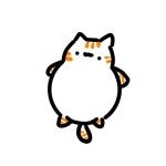모찌냥🍮 - ibisPaint