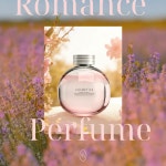 지아이코퍼레이션님의 마이페이지