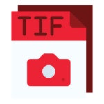 Tif Icon - Download in Flat Style