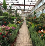 허브아일랜드, 오감만족 체험의 공간 < 사회 < NEWS24 < 기사본문 - 소비자평가 허브아일랜드, 오감만족 체험의 공간 - 소비자평가