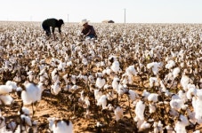 친환경 마케팅으로 보는 기업의 진정성 < No.1 브랜드 < INSIGHT < 기사본문 - 소비자평가 친환경 마케팅으로 보는 기업의 진정성 - 소비자평가