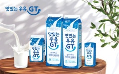 남양유업 ‘맛있는우유GT’, 2022 브랜드고객만족도(BCSI) 우유... 1브랜드 < 기사본문 - 소비자평가 남양유업 ‘맛있는우유GT’, 2022... 