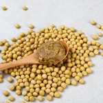 치유와 힐링의 자연드림