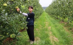 전체기사 - 충청남도 누리집(홈페이지) 충청남도 누리집(홈페이지)