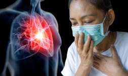 Covid: Research finds how spike protein causes heart damage - ‘Toxic’ | Express.co.uk Covid warning: The virus causes heart... 