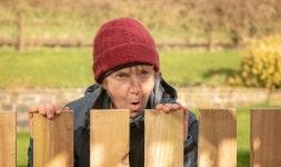 Gardening expert shares best privacy plants to avoid nosy neighbours spying on your garden | Express.co.uk Stop nosy neighbours... 