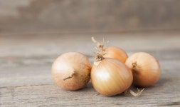 How to keep onions edible for 6 months - don’t put them in... co.uk Best place to store onions to keep them edible for 6 months