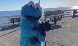 Police warn locals to stay well clear from creepy man dressed as Cookie Monster | World | News | Express.co.uk Police warn... 