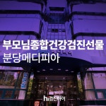 부모님 종합건강검진 선물, 분당 메디피아에서 효도하고 검진하이에서 혜택받고 : 제휴병원소식