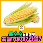 청천과일.야채.곡물 | '옥수수' 곡물일까요? 야채일까요? 과일일까요? : 식품영양정보