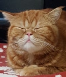 금보야 사랑해 : 페스티벌 라이프 방명록 금보야 사랑해  : 페스티벌 라이프 방명록