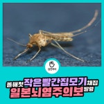 일본뇌염 주의보 발령 : 건강검진정보