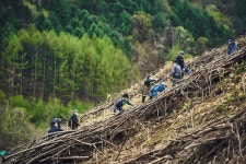 점점 뜨거워지는 지구를 위해, 나무를 심는 사람들 : 숲과 나무에 대한 이야기 - 매거진