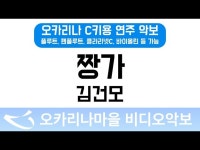 짱가 | 김건모 : 오카리나마을 비디오악보