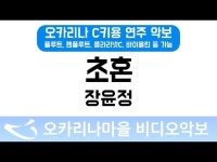 초혼 | 장윤정 : 오카리나마을 비디오악보