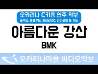 아름다운강산 | BMK : 오카리나마을 비디오악보