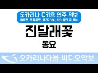진달래꽃 | 동요 : 오카리나마을 비디오악보