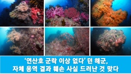 [현장소식] 제주 강정 연산호 군락지 훼손에 대한 해군 측 입장을 반박한다 : 환경운동연합