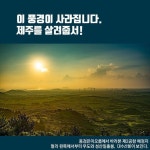 [카드뉴스] 제주를 살려줍서! : 환경운동연합