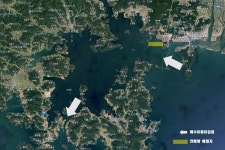 [기고][함께사는길] 진해신항으로 사라질 230만 평 바다 : 환경운동연합