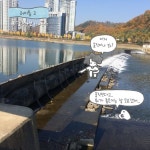 [러미툰_시즌2]대전 갑천에 위치한 갑천4보 : 환경운동연합