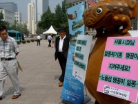 한강 노들섬 멸종위기종 맹꽁이 서식지 보전대책 촉구 1인 시위 : 환경운동연합