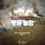 [카드뉴스] 인도네시아 건강을 위협하는 팜유 농장 : 환경운동연합