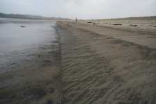 다시 만리포에서, 다시 신두리에서 : 환경운동연합