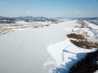 [김종술의금강이야기] 통째로 얼어붙은 금강, 철새는 얼음판위에서 오들오들 : 환경운동연합